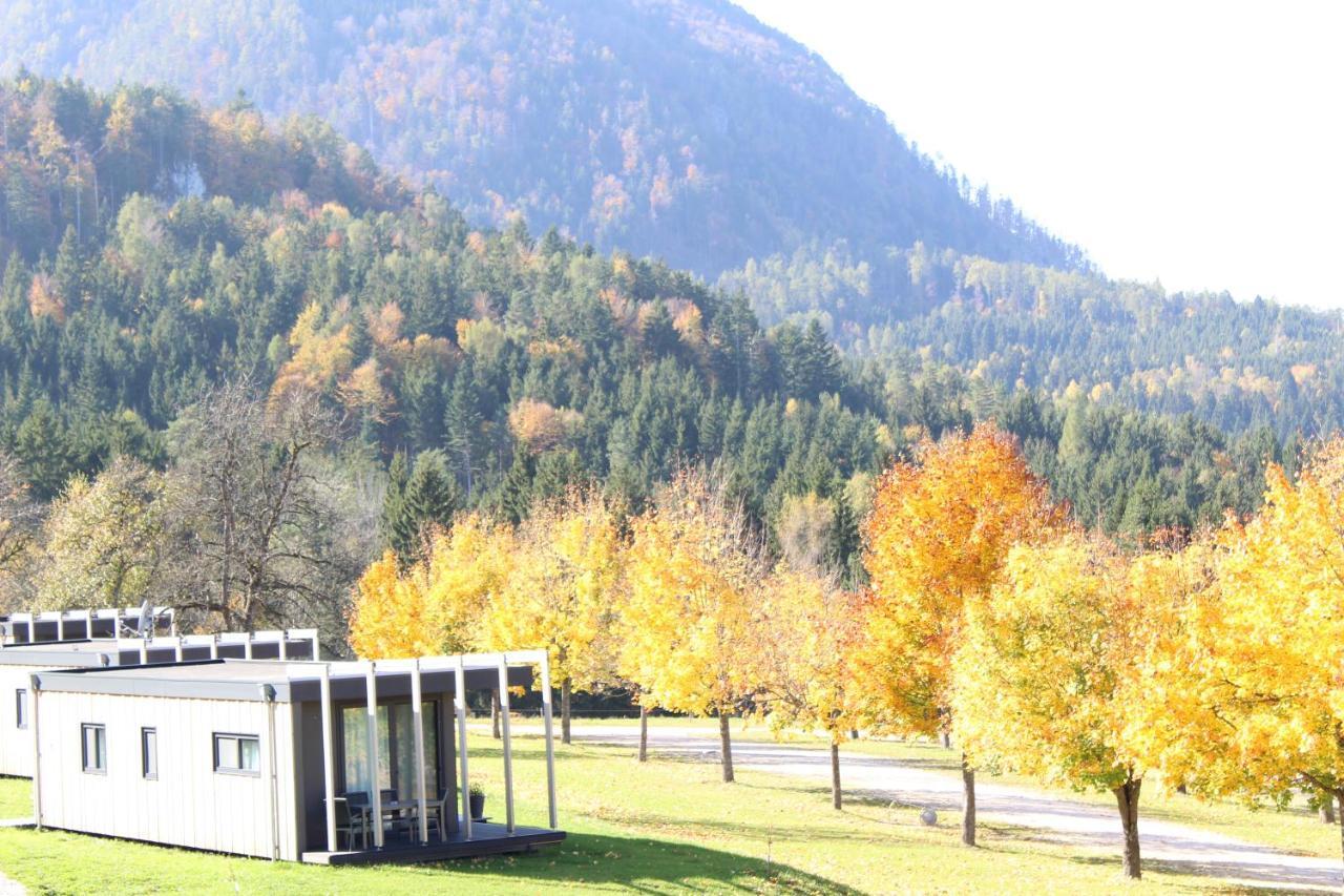 Chaletpark Petzen Hotel Feistritz ob Bleiburg Bagian luar foto