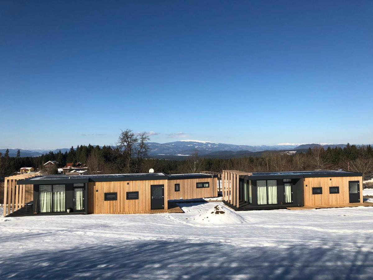 Chaletpark Petzen Hotel Feistritz ob Bleiburg Bagian luar foto